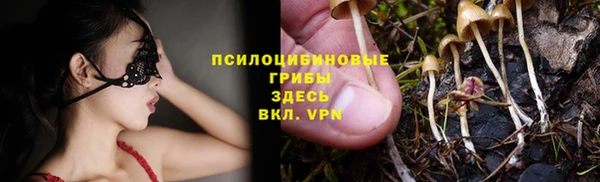 прущий лед Белокуриха