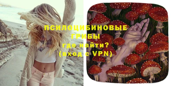 прущий лед Белокуриха