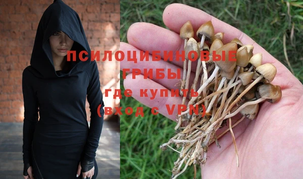 не бодяженный Беломорск
