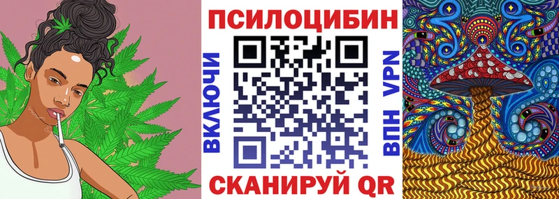 Псилоцибиновые грибы мицелий  blacksprut как зайти  Горняк 